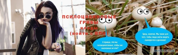 не бодяженный Нефтекумск