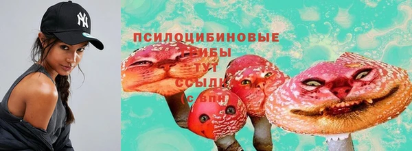 метадон Нея