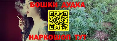 мдпв Будённовск