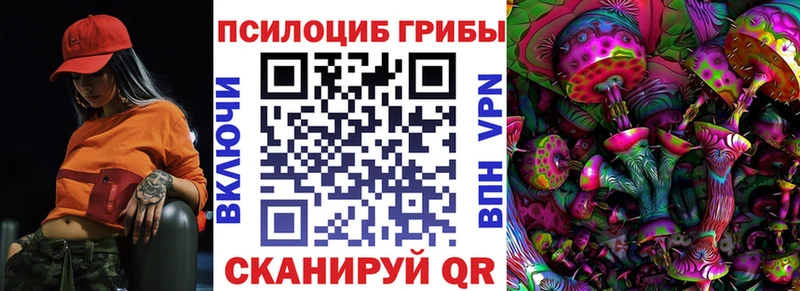 Галлюциногенные грибы Psilocybine cubensis  Ливны 