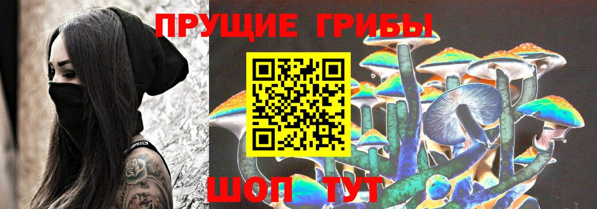 Галлюциногенные грибы Psilocybe Ливны